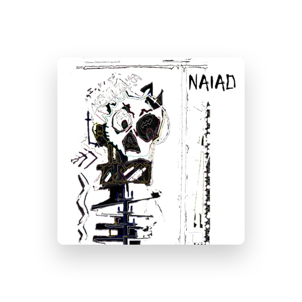 NAIAD's avatar
