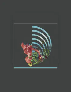 Listen to Cidade Luz, watch music videos, read bio, see tour dates & more!