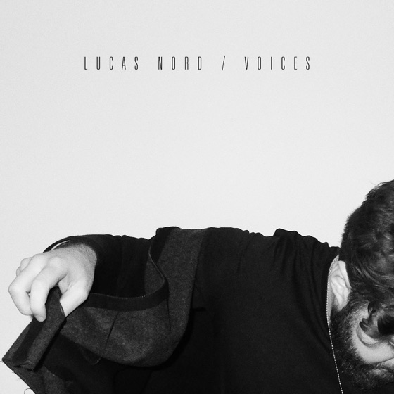 Cover artwork for Voices