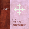 Det nye testamentet: Bibelen 5 - N. N.