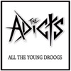 All The Young Droogs album cover