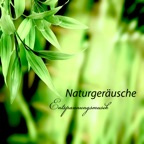 Naturgeräusche Entspannungsmusik