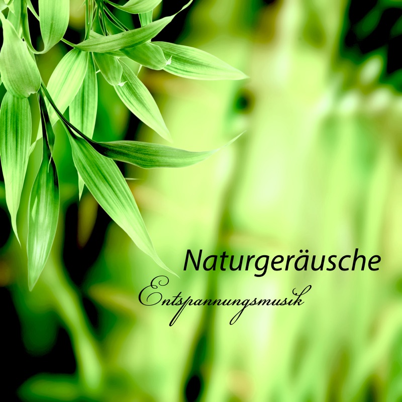 Naturgeräusche Entspannungsmusik - Beste New Age Meditationsmusik und Wellness Spa Music für Tiefentspannung