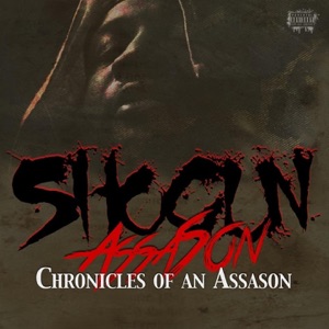 Chronicles of an Assason