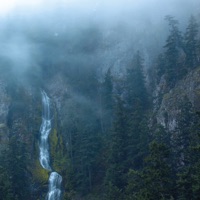 Queen of the Borrowed Light