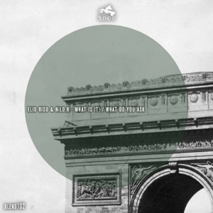 What Is It! / What Do You Ask - Single