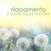 Rilassamento e Suoni della Natura - Musica di Sottofondo per Benessere