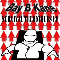 Survival Techniques - Bay B Kane