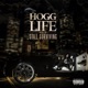 Hogg Life Vol 2 Still Surviving