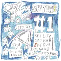 Next — Skylab