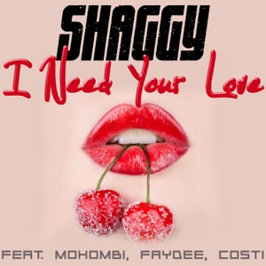 Shaggy - I Need Your Love (feat. Mohombi, Faydee & Costi) - Line Dance Chorégraphe