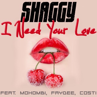 SHAGGY - I NEED YOUR LOVE