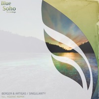 Singularity - Single - Berger & Artigas