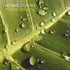 Herbal Essence - Dr. Watson
