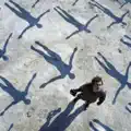 Butterflies And Hurricanes