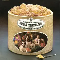 I Was Not Born To Follow — Lemon Pipers