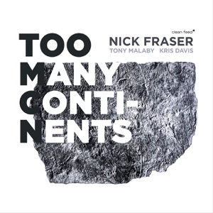 Too Many Continents (feat. Tony Malaby & Kris Davis)