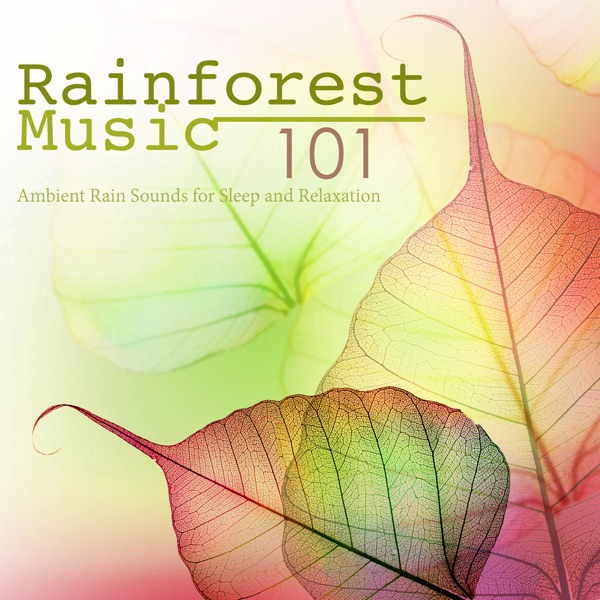 Rainforest Music 101 - Free Your Mind & Relax Better with Ambient Rain Sounds for Sleep and Relaxation