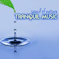 Lonely Cricket in the Night - Emotional Piano — Caroline Sweet