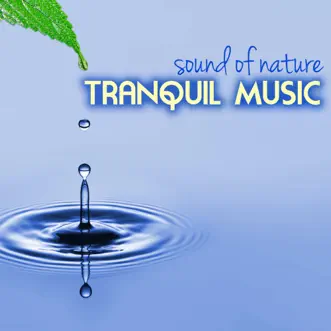 Tranquil Music - Sound of Nature Relaxation Soundscapes by Tranquil Music Sound of Nature & Nature Sounds album reviews, ratings, credits