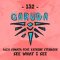 See What I See (feat. Katrine Stenbekk)