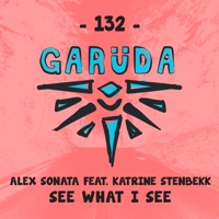 Alex Sonata - See What I See (feat. Katrine Stenbekk)