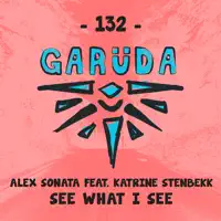 See What I See (feat. Katrine Stenbekk) — Alex Sonata