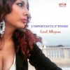 Carol Allegrini - L' importante è finire