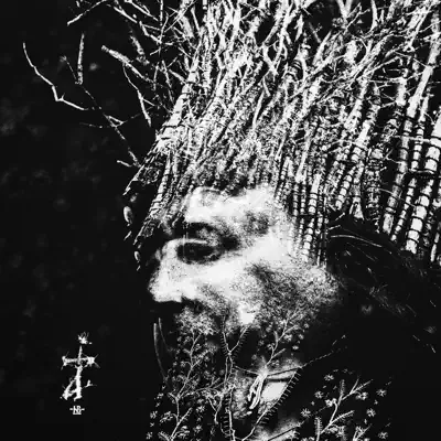 ZI (Deluxe Edition) - Negura Bunget ZI (Deluxe Edition) - Negura Bunget