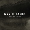 Gavin James