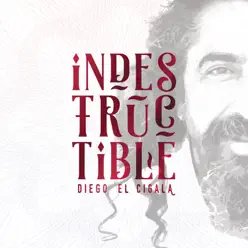 Indestructible: Track by Track - Diego el Cigala