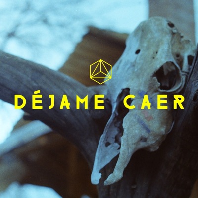 Déjame Caer - Single