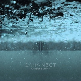 Ливень лил Sasha Chest