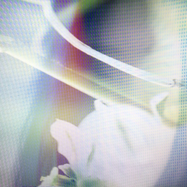 Vision Simulation