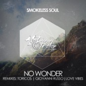 No Wonder (Toricos Remix) artwork