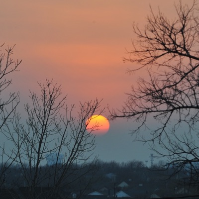 Hazy Reverie