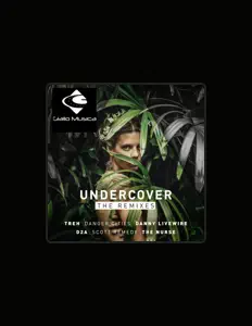 D2Aを聴いたり、ミュージックビデオを鑑賞したり、経歴やツアー日程などを確認したりしましょう！