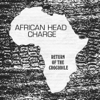 Return of the Crocodile - African Head Charge