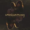 American Money (Tigertown Remix) - Single