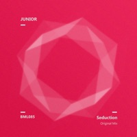 Seduction - Single - Junior