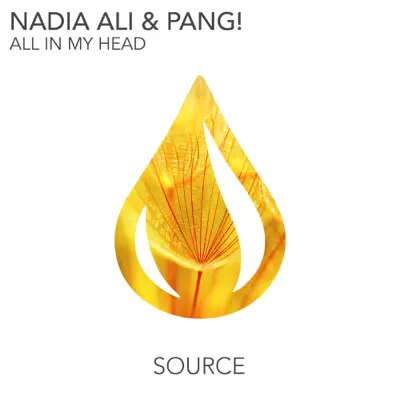 All In My Head (Radio Edit) [feat. PANG !] - Single - Nadia Ali