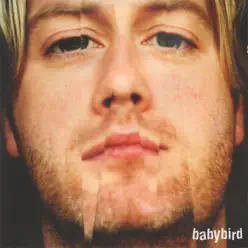 Too Much - EP - Babybird