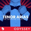 Roberto Rizzi Brignoli Don Carlos: Lo la vidi Tenor Arias: The Definitive Collection