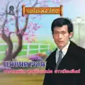 ทุกข์ร้อยแปด