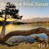 Relaxation With Nature, Vol. 3