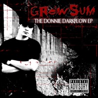 The Donnie Darkflow EP - GrewSum