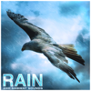 Rain and Ambient Sounds, Relaxation, Meditation, Yoga - Nature Sounds, Rain Sounds & Nature Sounds Nature Music