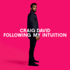 Following My Intuition - Craig David