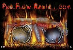 Pro Flow Fa-Sho Show - G-Zone 88