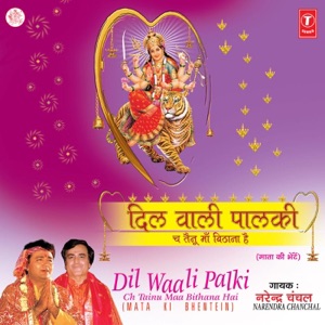 Dil Wali Palki